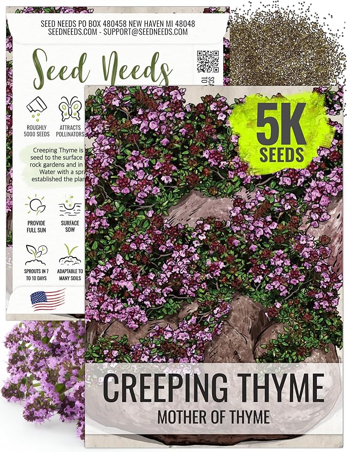 Seed Needs, Mother of Thyme Creeping Thyme Seeds 5,000 Seeds for Planting Thymus serpyllum - Perennial Flowers for Rock Gardens & Groundcover (1 Pack)
