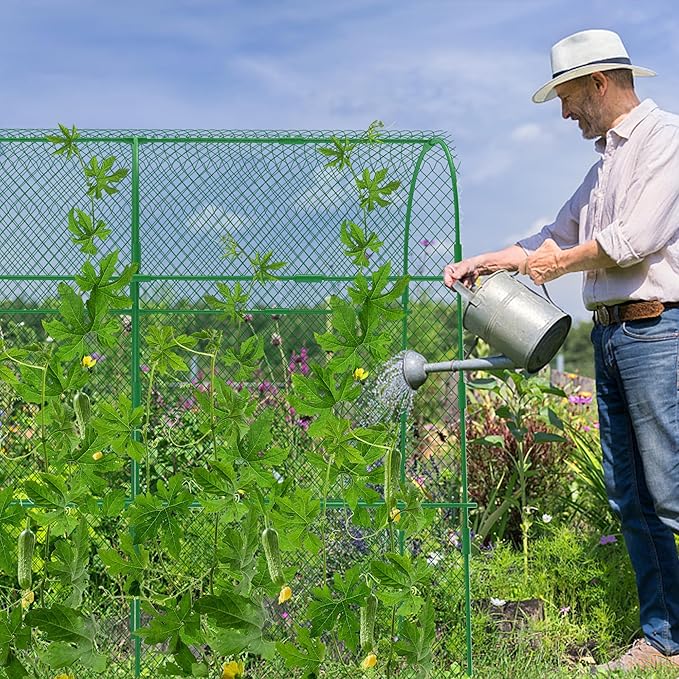 codree Cucumber Trellis for Raised Bed, 63 x 63 Inch U-Shape Garden Trellis for Climbing Plants Outdoor, Metal Arch Trellis with Climbing Net Clips for Growing Vine Vegetable, Tomato, Bean, Zucchini