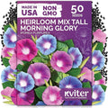 KVITER 50 Tall Morning Glory Seeds Mix (Ipomoea purpurea) – Climbing Morning Glory on The Vine, Annual Flower Seeds for Planting – Heirloom Seed Packets for Home Garden, Fences, Containers Outdoors