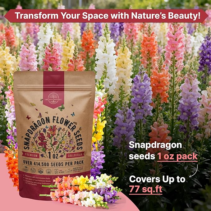 414,500+ Snapdragon Flower Seeds Pack 1 oz - Non-GMO Heirloom Snapdragon Seeds for Planting Indoor & Outdoor Gardening, Flower Seed for Home and Garden in Individual Packet, Floral Perennial Mix
