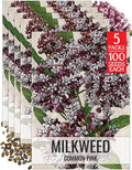Seed Needs Pink Milkweed Seeds for Planting Common Asclepias syriaca - Heirloom & Open Pollinated Perennial Flower Seed to Plant a Monarch Butterfly Garden (5 Packs)