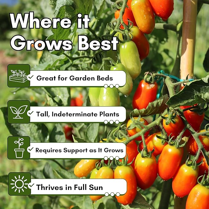San Marzano Tomato Seeds for Planting - Non-GMO, Heirloom Tomato Seeds, Indeterminate Sauce Tomato Variety for Home Vegetable Gardens | Woods Creek Seeds