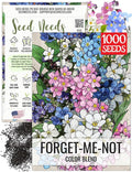 Seed Needs Mixed Forget Me Not Seeds for Planting - Heirloom & Open Pollinated Wild Flower Seed to Plant an Outdoor Butterfly Garden to Attract Pollinators (1 Pack)