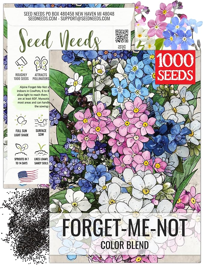Seed Needs Mixed Forget Me Not Seeds for Planting - Heirloom & Open Pollinated Wild Flower Seed to Plant an Outdoor Butterfly Garden to Attract Pollinators (1 Pack)