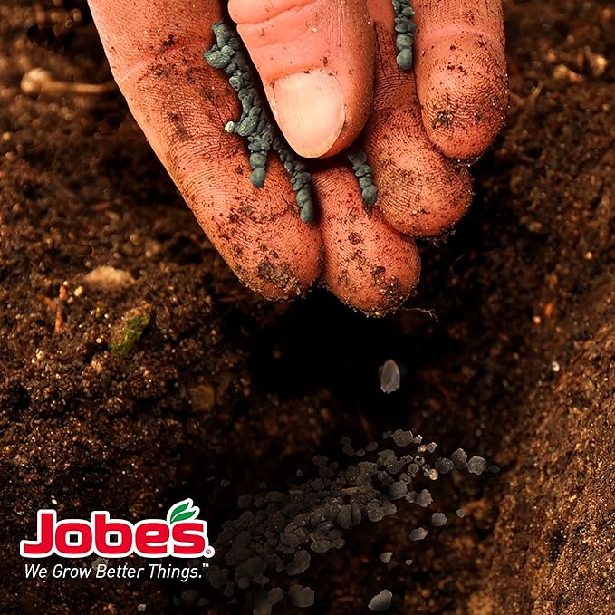 Jobe’s Organics Granular Fertilizer, Organic Fertilizer for Palm Trees and Plants, 4 lbs Bag (Pack of 2)