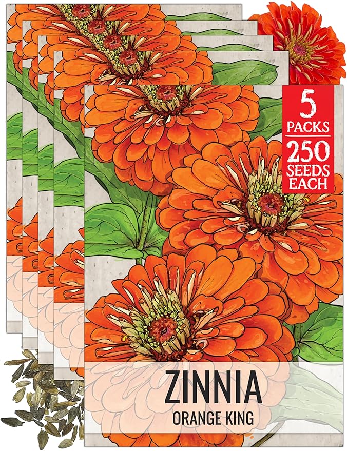 Seed Needs Zinnia Seeds for Planting Orange King Zinnias - Heirloom & Open Pollinated Wildflower Seed to Plant a Butterfly Garden - Great for Cut Flowers (5 Packs)