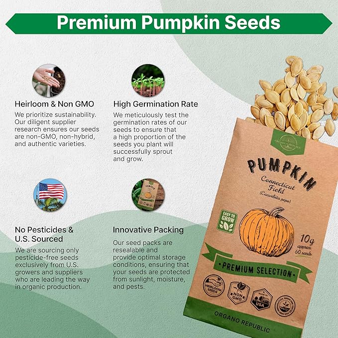 Organo Republic Pumpkin Connecticut Field Seeds Pack, 10G - Over 60 Non-GMO Heirloom Pumpkin Seeds for Planting Vegetables in Individual Seed Packet, Vegetable Seeds for Indoor & Outdoor Gardening