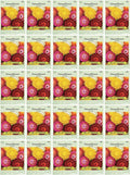 Black Duck Brand Set of 25 Strawflower Tall Mix Flower Seed Packets! Flower Seeds in Bulk - Great for Creating The Garden of Your Dreams! (25, Strawflower - Tall Mix)