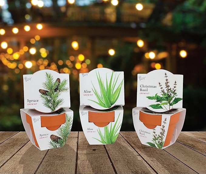 BUZZY Seeds Terracotta Mini Grow Pots 6-Pack Radiant Series – Mixed Herb, Succulent, and Tree Seed Kit for Indoor Gardening and DIY Projects
