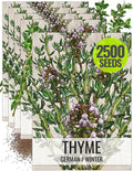 Seed Needs Thyme Seeds for Planting - Non-GMO Heirloom & Untreated Perennial Herb Seed to Plant a Culinary Kitchen Garden Indoors or Outdoors (5 Packs)