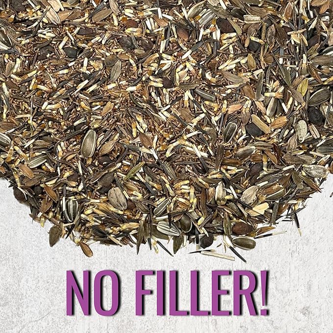 Seed Needs Garden Flower Seeds Large Blooms Mix Hummingbird and Butterfly | 1 Ounce No Filler 7 Varieties Open Pollinated | Resealable Package Live Wild Flower Seed | Bulk