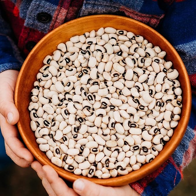 California Blackeye No. 5 Cowpea - 50 Seeds - Heirloom & Open-Pollinated Variety, USA-Grown, Non-GMO Vegetable Cow/Southern/Field Pea Seeds for Planting Outdoors in a Home Garden, Thresh Seed Company