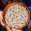 California Blackeye No. 5 Cowpea - 50 Seeds - Heirloom & Open-Pollinated Variety, USA-Grown, Non-GMO Vegetable Cow/Southern/Field Pea Seeds for Planting Outdoors in a Home Garden, Thresh Seed Company
