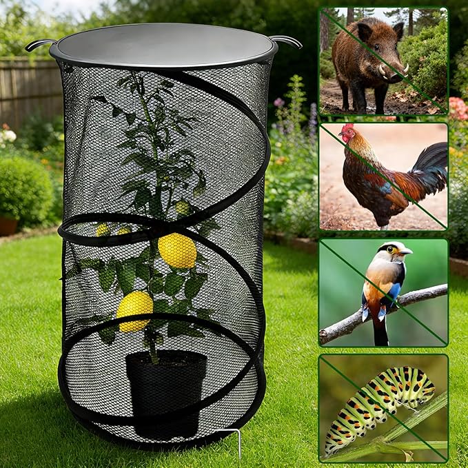 MDEOOSKY 4 Pack Pop Up Plant Covers Tent with Lid, 23.6"x11.8" Round Insect & Bird Barrier Mesh, Garden Protector Cage with 16 Ground Stakes, Foldable for Outdoor & Indoor Plants, Black