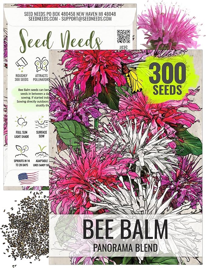 Seed Needs Panorama Mixed Bee Balm Seeds for Planting - Heirloom & Open Pollinated Perennial - Mixture of Colorful Flowers to Grow a Butterfly Garden (1 Pack)
