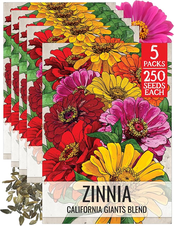 Seed Needs Zinnia Seeds for Planting California Giants Zinnias - Heirloom & Open Pollinated Annual Wildflowers to Grow a Butterfly Garden to Attract Pollinators (5 Packs)