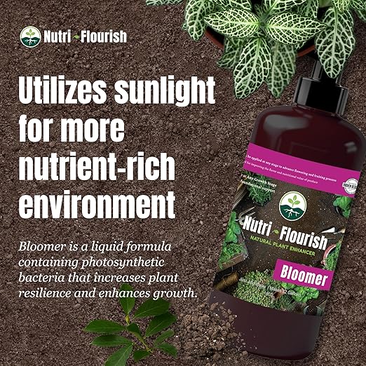Bloomer - Liquid Plant Enhancer | Natural Garden Soil Fertilizer | Biological Nutrients for Gardening & Potting | Photosynthetic Bacteria to Boost Flowering and Fruiting Plants, 16 Oz