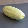 Cucumber Seeds - White Wonder - 1 Oz ~950 Seeds - Cucumis sativus - Farm & Garden Vegetable Seeds - Non-GMO, Heirloom, Open Pollinated, Annual