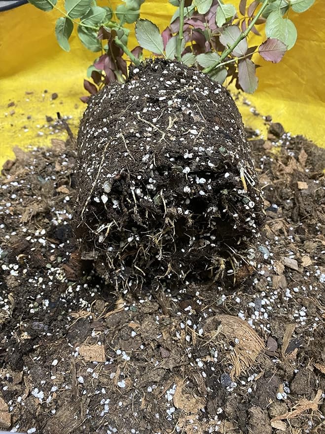 Voulosimi 15QT Organic Perlite Horticultural Soil Amendment for Plants and Enhanced Drainage Enhanced Growth(5-8mm), ZZ-154512156