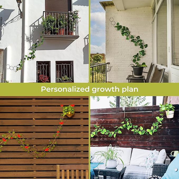 Chain Trellis for Climbing Plants - Indoor & Outdoor House Plant Accessories for Monstera, Pothos, Ivy, and More | Garden Wall Trellis and Plant Vine Support - Houseplant Accessories and Plant Gifts