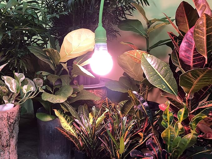 Miracle LED 4KK Indoor Grow Light Bulb – 4000K Red Spectrum Grow Bulbs for Vegetables, Herbs, Hydroponics. (2-Pack)