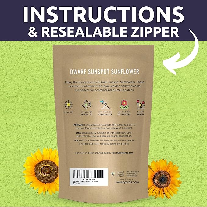 Dwarf Sunspot Sunflower - Bulk 1/4 Pound Pouch - 2,000 Flower Seeds for Planting - Helianthus annuus