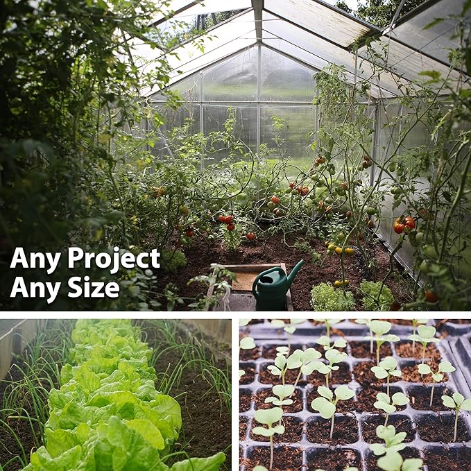 Bottle Gourd Seeds 1 Lb ~3,008 Seeds – High-Yield, Fast-Growing – Heat & Drought Tolerant – Ideal for Home Gardens & Farms – Great for Cooking & Crafting – Non-GMO, Open-Pollinated