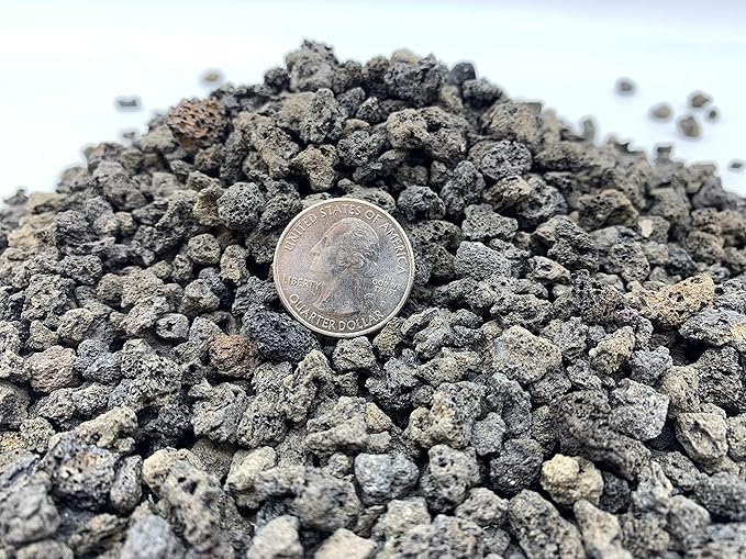 Black Lava Rock | 2 Quarts Bag | 1/4” Particle Size | Soil Aggregate for Bonsai, Cactus, Succulents, Aquariums, and More | Enables Optimal Drainage and Soil Aeration | The Bonsai Supply