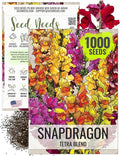 Seed Needs, Mixed Tetra Snapdragon Seeds - 1,000 Heirloom Seeds for Planting Antirrhinum majus - Annual Flowers to Attract Butterflies, Bumblebees, Honeybees & Other Pollinators (1 Pack)
