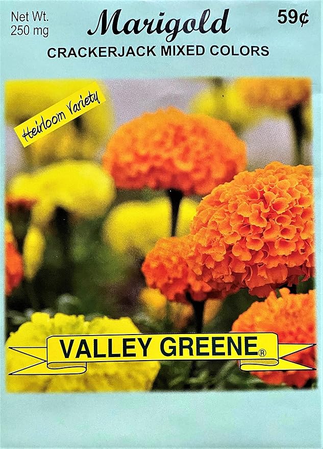 Set of Flower Seed Packets! Flower Seeds in Bulk - Great for Creating The Garden of Your Dreams! (100, Marigold - Crackerjack)