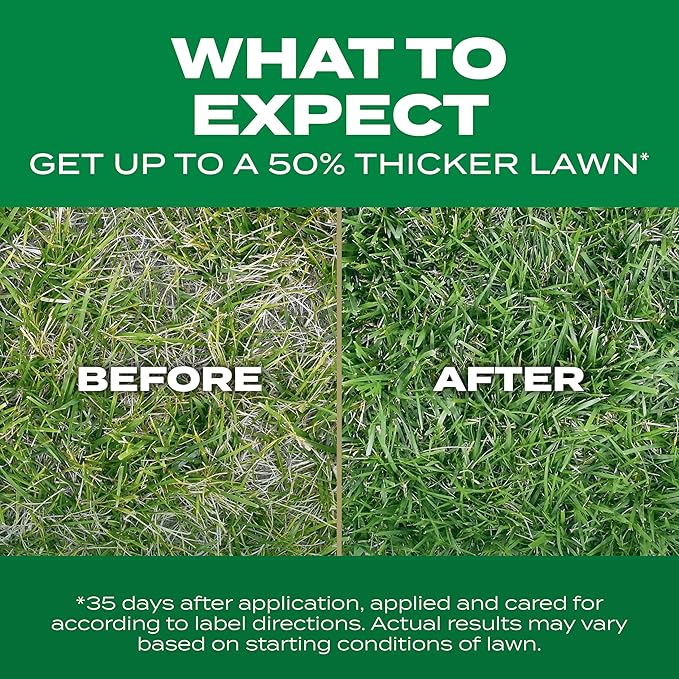 Scotts Turf Builder Thick'R Lawn Southern Gold Blend for Tall Fescue Lawns, Grass Seed, Fertilizer, and Soil Improver, 40 lbs.