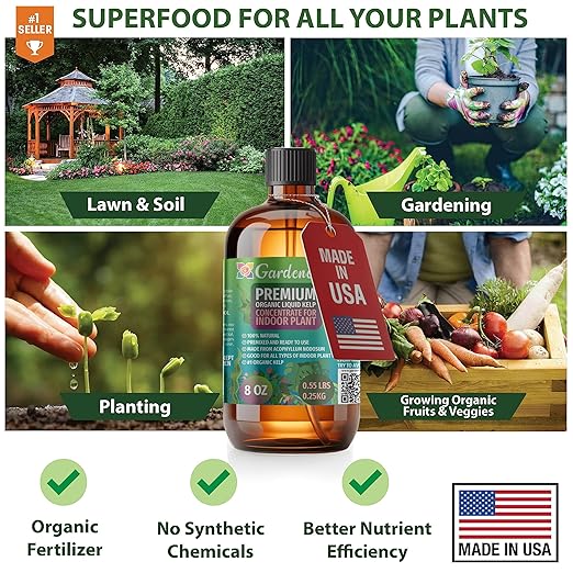 𝐁𝐄𝐒𝐓𝐒𝐄𝐋𝐋𝐄𝐑 Organic Liquid Kelp Fertilizer by GARDENERA - [32 OZ] - Organic Plant Superfood for Gardening - Concentrated Kelp & Seaweed Extract for Gardens, Lawns, Plants & Soil