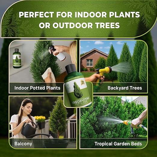 Leaves and Soul Professional Arbor Vitae Tree Fertilizer Liquid Concentrate - 6-4-6 Blend for Arbor Vitae, Garden Use - Liquid Plant Food for Arbor Vitae Trees and Shrubs Outdoors - 8oz