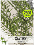 Seed Needs Summer Savory Seeds for Planting Herbs - Non-GMO Heirloom & Untreated Annual Herb Seed to Plant a Culinary Kitchen Garden Indoors or Outdoors (5 Packs)