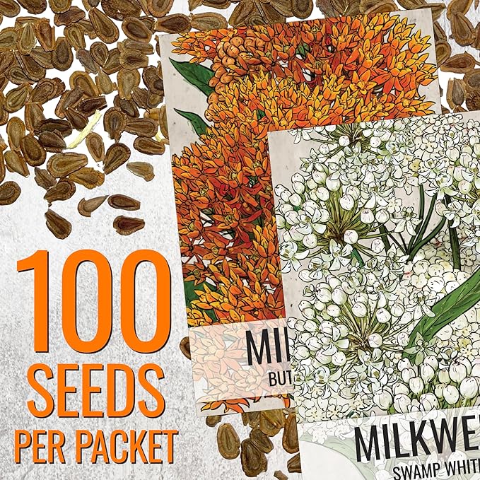 Seed Needs Milkweed Seeds for Planting Butterfly Orange/Swamp White Asclepias Flowers - Heirloom Wildflowers to Attract Monarch Butterflies to a Butterfly Garden