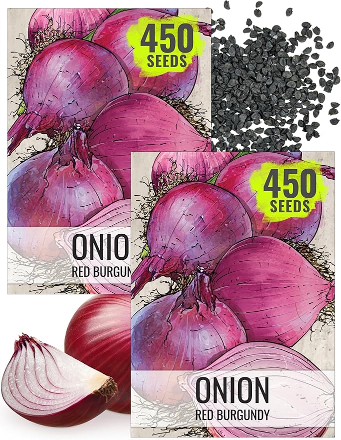 Seed Needs Onion Seeds for Planting Red Burgundy Short Day Onions - Non-GMO Heirloom & Untreated Vegetable Seeds to Plant an Outdoor Home Grown Veggie Garden
