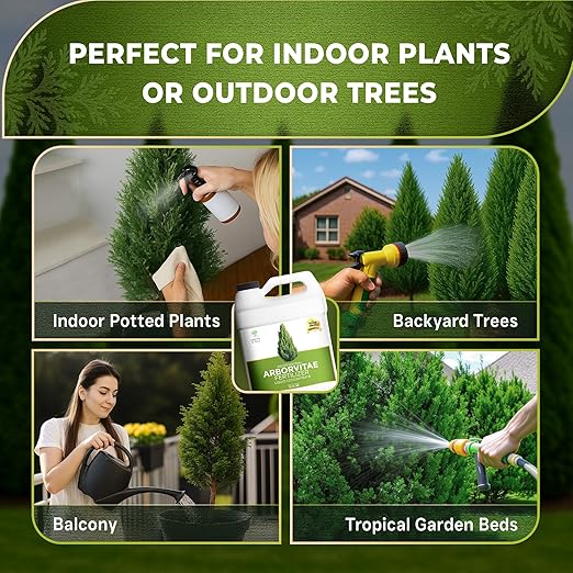 Leaves and Soul Professional Arbor Vitae Tree Fertilizer Liquid Concentrate - 6-4-6 Blend for Arbor Vitae, Garden Use - Liquid Plant Food for Arbor Vitae Trees and Shrubs Outdoors - 32oz