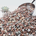 NUPICK 6lb Mix Horticultural Lava Rocks for Plants, 3/8" Colorful Succulent Potting Soil Amendments, Decorative Gravel for Cactus, Bonsai Gritty Rock, Pebbles Pumice for Vase Fillers, Top Dressing