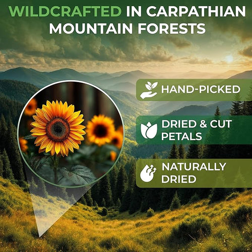 1 oz. Sunflower Petals Herbal Tea (Petala Helianthi) – 28g Dried Sunflower Petals Tea Té de Pétalos de Girasol