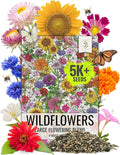 Seed Needs Garden Flower Seeds Large Blooms Mix Hummingbird and Butterfly | 1 Ounce No Filler 7 Varieties Open Pollinated | Resealable Package Live Wild Flower Seed | Bulk