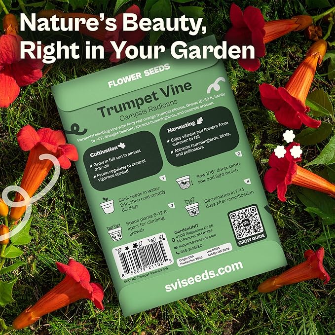SVI 50 Red Trumpet Vine Seeds for Planting (Campsis radicans) – Trumpet Creeper Seed Packets, Hummingbird Flowers – Heirloom Flower Seeds to Plant Outside - Fences, Trellises, Outdoor Garden