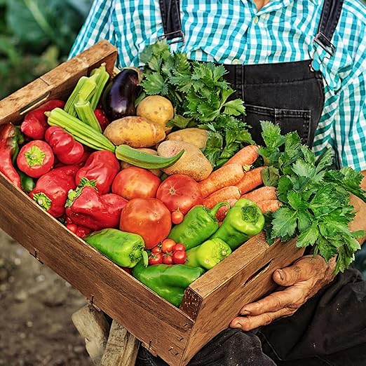 The Old Farmer's Almanac Organic Tomato & Vegetable Plant Food Fertilizer (4.5 Lbs - Covers 500 Square Feet), OFA-TV848