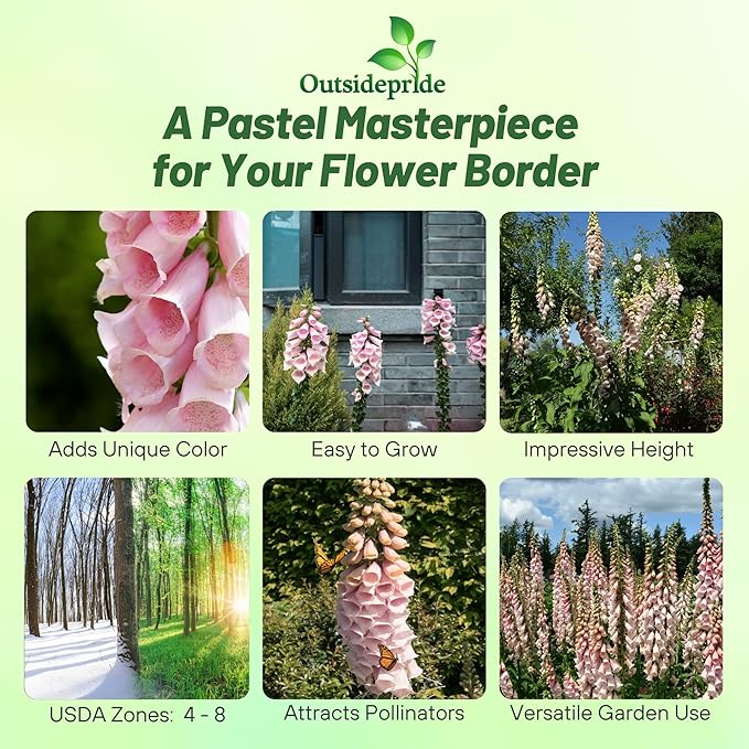 Outsidepride Digitalis Purpurea Apricot Beauty Foxglove Seeds – 5000 Pcs Biennial, Prolific, Tall Growing Flower Seeds with Pollinator-Friendly Blooms for Shaded Gardens & Outdoor Landscapes