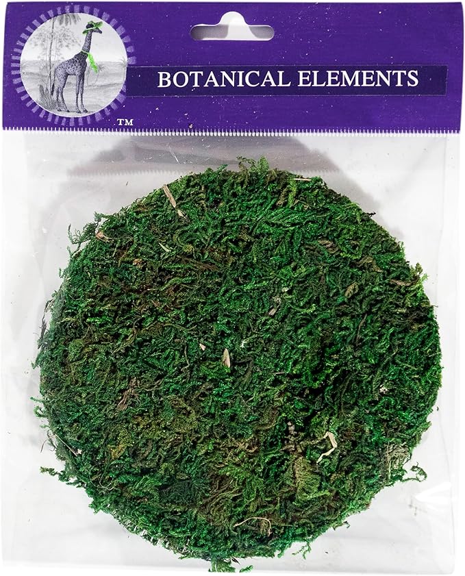 SuperMoss (26295) Moss Soil Toppers, Fresh Green, 4 (3 Units)