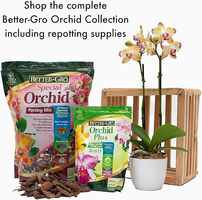 Better-Gro Special Orchid Mix - Premium Grade Orchid Bark Potting Mix for Potting,Repotting,Enhanced Drainage,Air Flow & Root Ventilation,for Phalaenopsis,Cattleyas,Dendrobiums,8 Quarts,(Pack of 2)