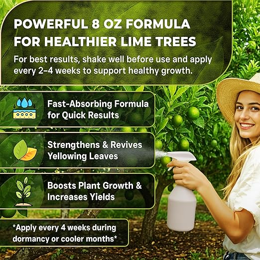 Leaves and Soul Professional Lime Tree Fertilizer Liquid Concentrate - 6-4-6 Blend for Fruit Tree Fertilizer, Garden - Liquid Plant Food for Lime Trees in Pots or Outdoors - 8oz