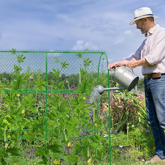 codree Garden Cucumber Trellis for Plant -47x 47 Inch Metal Arch Melon Trellis for Raised Bed -Foldable Tunnel Trellis with Climbing Net Clips for Growing Vine Vegetable
