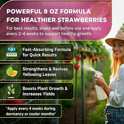 Leaves and Soul Professional Strawberry Fertilizer Liquid Concentrate - 6-4-6 Blend Liquid Garden Fertilizer for Strawberries - Plant Food for Strawberry Bushes and Plants - 8oz