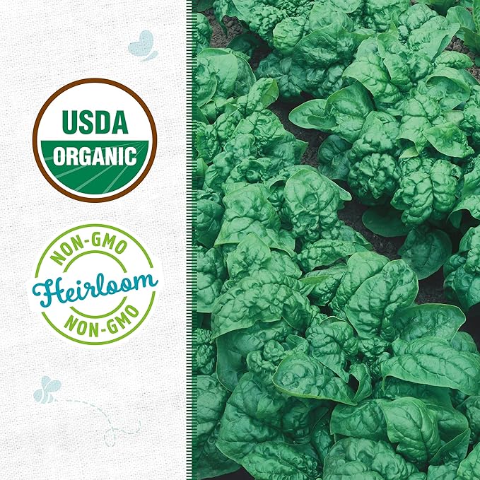 Back to The Roots 100% Organic Seed Packet - Spinach