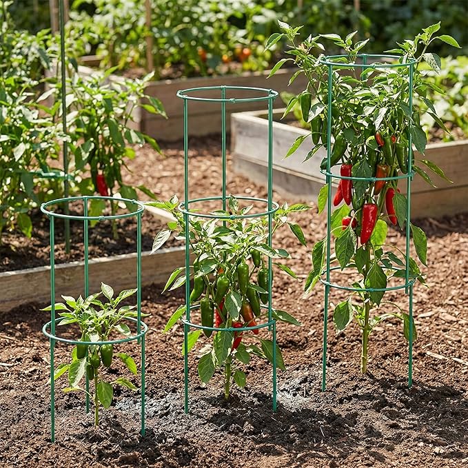 Tomato Cage - Tomato Plant Support,Tomato Trellis Plant Stakes Support, Pots and Garden Climbing Vegetables Plants Flowers,Plant Stakes for Indoor Plants，3pcs